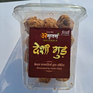 Amritam's Dryfruit Gud